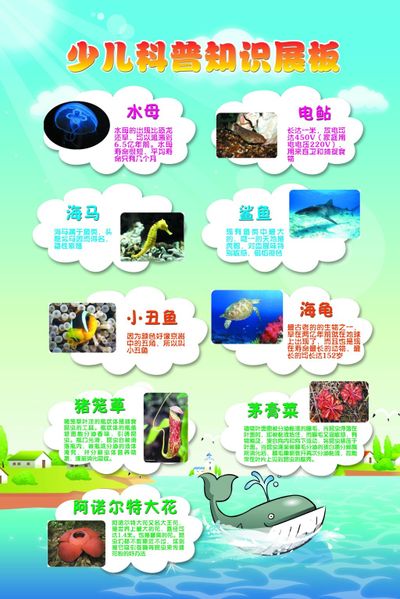 科普知识进校园