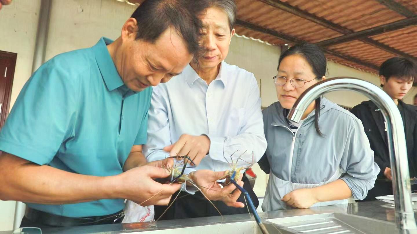 江西首创！“彭泽鲫—罗氏沼虾套养”开创养殖新模式